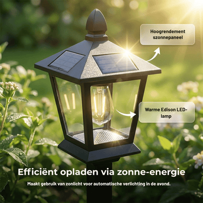 GardenGlow — Solar Plantenlamp | 50% KORTING