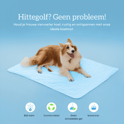 ChillPaw — Verkoelende Mat voor Huisdieren | 50% KORTING