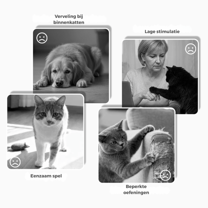 CitrusQuest — Interactief hondenspeelgoed | 50% KORTING