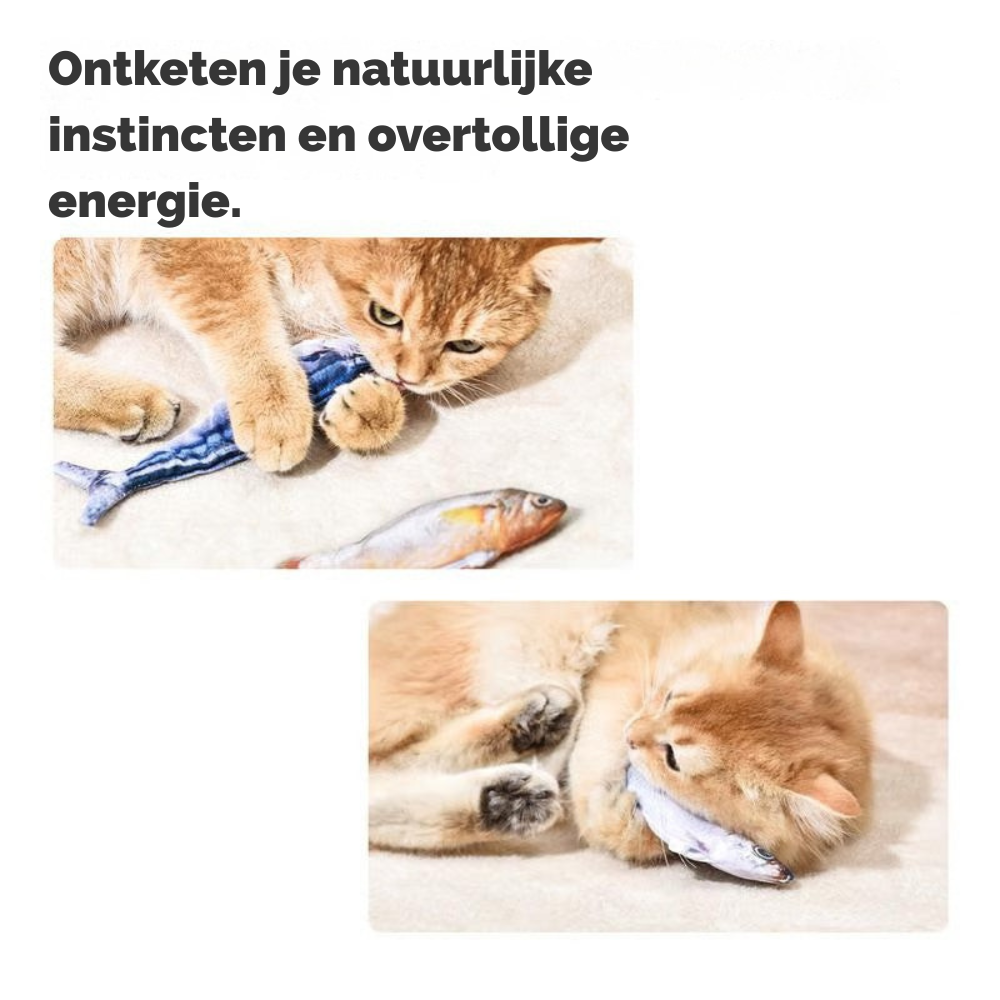 MagnetFish – Interactief Kattenspeelgoed | 1+1 GRATIS