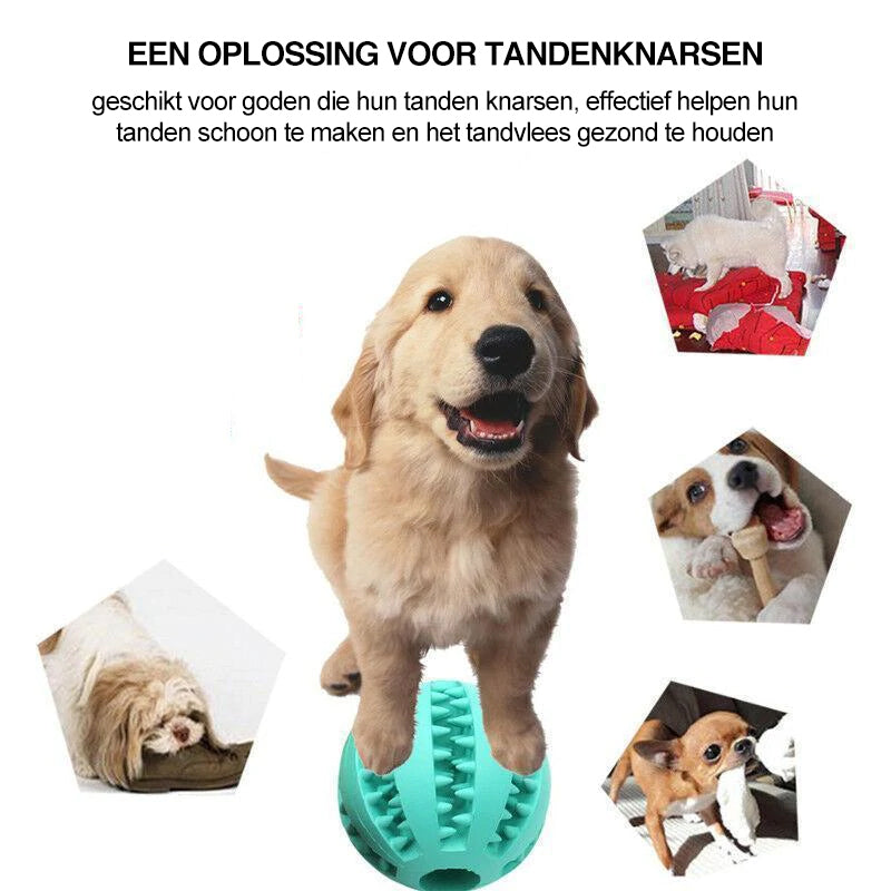 Hond kauw rubberen bal