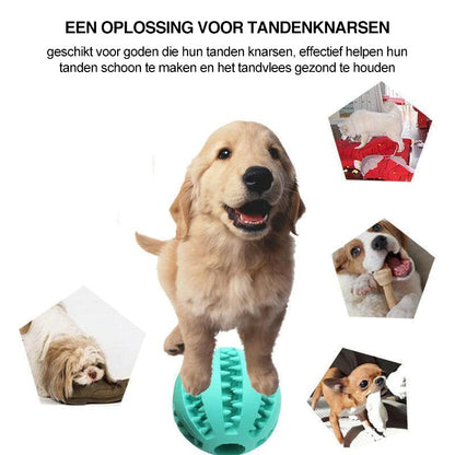 Hond kauw rubberen bal