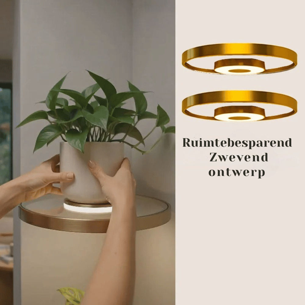 GlowingGold — LED Zwevend Plantenwandrek | 50% KORTING