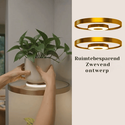 GlowingGold — LED Zwevend Plantenwandrek | 50% KORTING