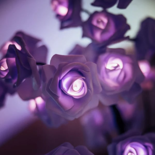 LumaRose — Eeuwige Gloed, Blijvende Liefde