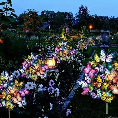 LuminaFlutter – Betover je avonden