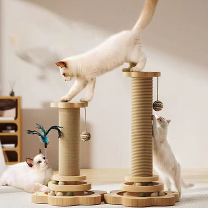 WhiskerJoy — Eindeloos Vrolijk Katplezier