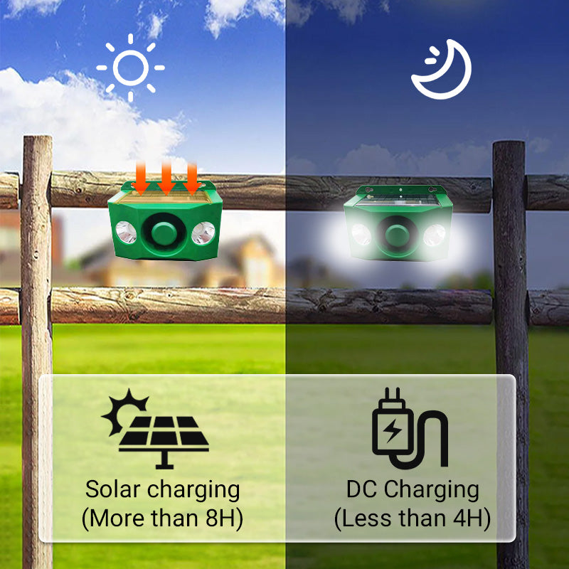 SafeGuard™ zonne-dierwerende lamp