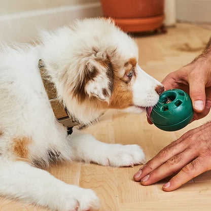 Opvulbaar Slow Food-speelgoed voor honden