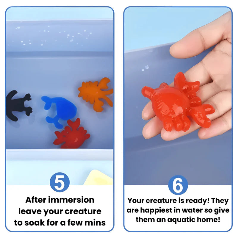 CreatiFun - Creatieve water gelei set | 50% KORTING