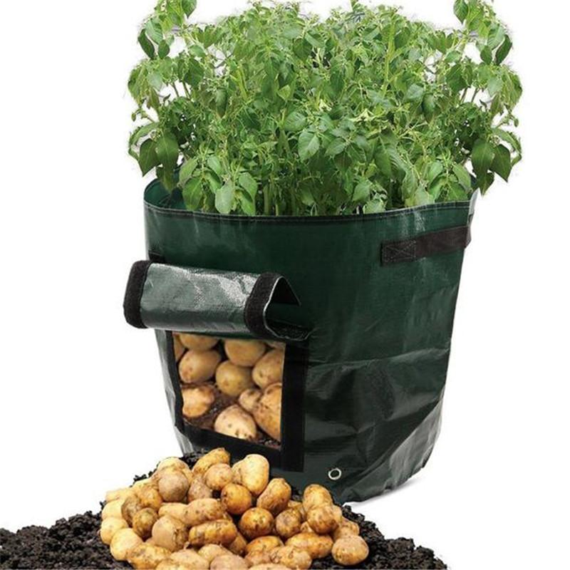 GrowMate — Overvloedige Oogst, Moeiteloos Genot