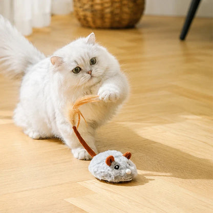 SwiftPounce – Ontketen Eindeloos Katplezier