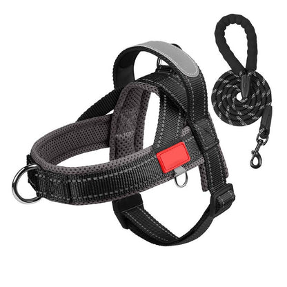 Total Comfort Harnas — Stressvrije, Veilige Wandelingen