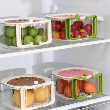 2-in-1 fruit- en groentewasmachine, multifunctionele fruit- en groentewasbox met antioxidatiemiddel