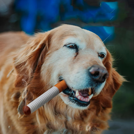 SqueakCig - Hilarisch plezier voor je puppy | 50% KORTING