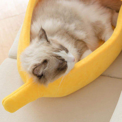 Kattenbed - Comfortabel en Duurzaam Tentontwerp voor Uw Kat