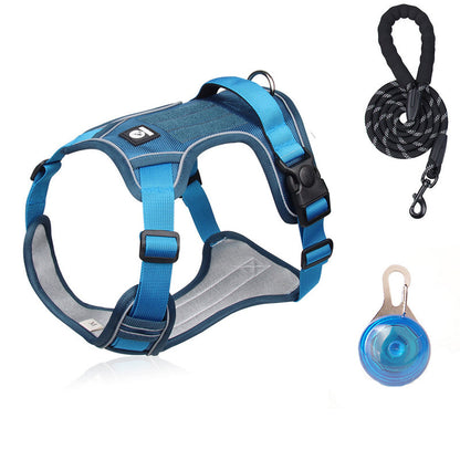 SafeWalk — Veilig Hondentuigje | 50% KORTING