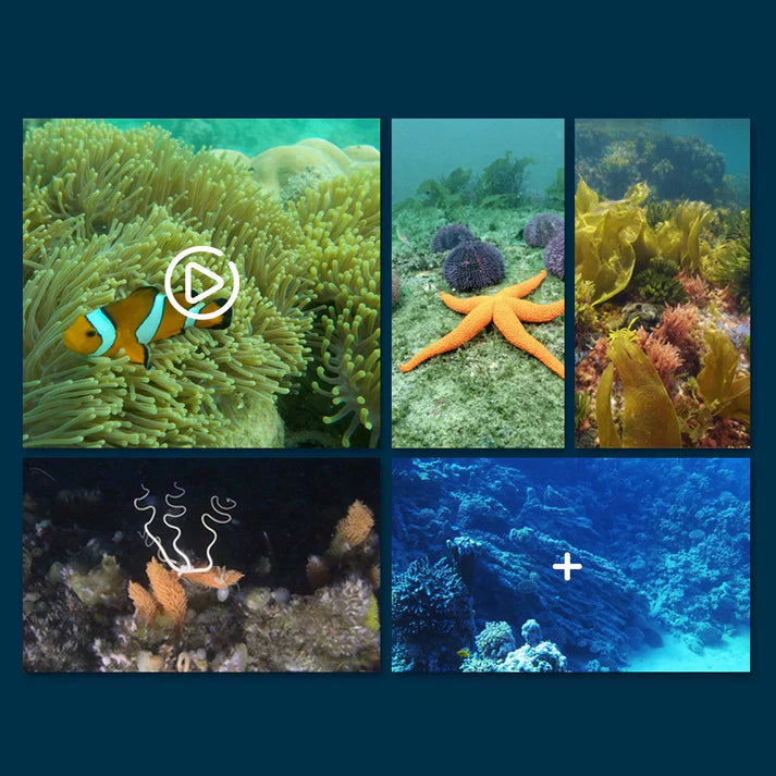 AquaSight Pro — Onderwater Drone | 50% KORTING