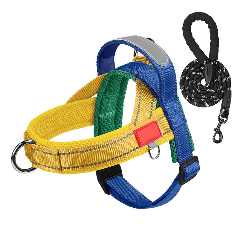 Total Comfort Harnas — Stressvrije, Veilige Wandelingen