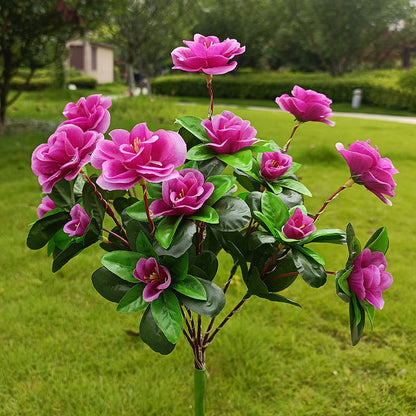 BloomLume – Verander nachten direct