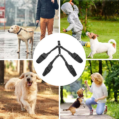 PawGuard™ - Veilige en comfortabele poten | 50% KORTING