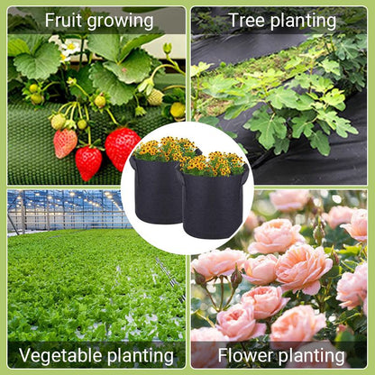 GeoRoot Plantzakken — Gezonde Wortels, Maximale Groei