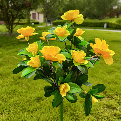 BloomLume – Verander nachten direct