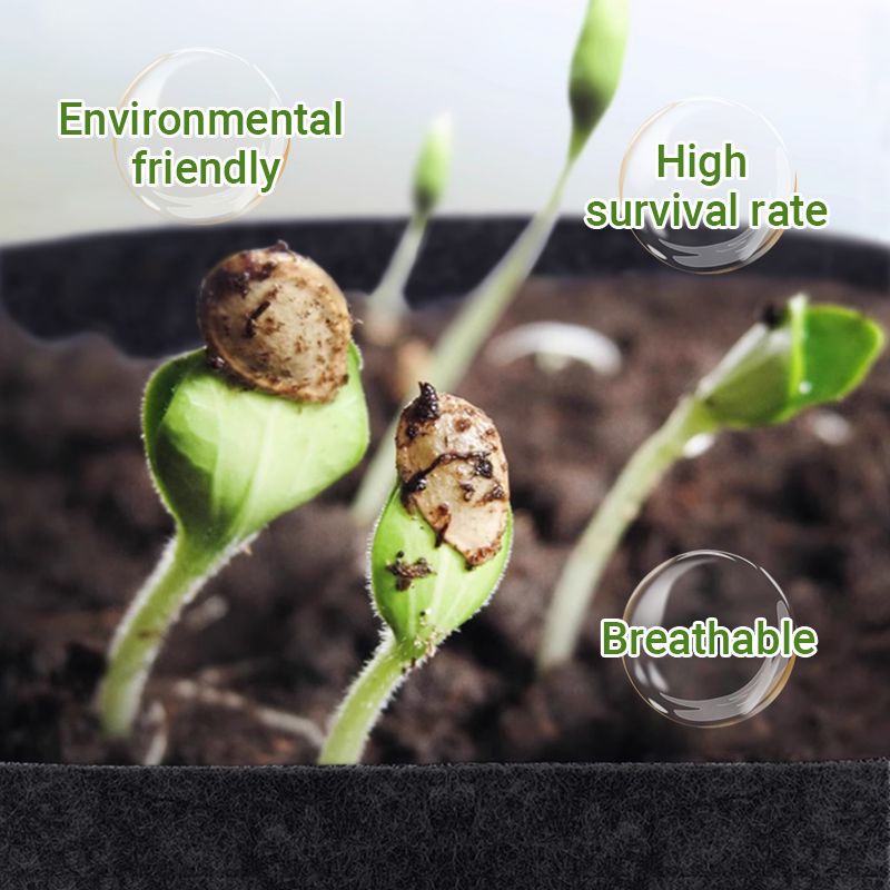 GeoRoot Plantzakken — Gezonde Wortels, Maximale Groei