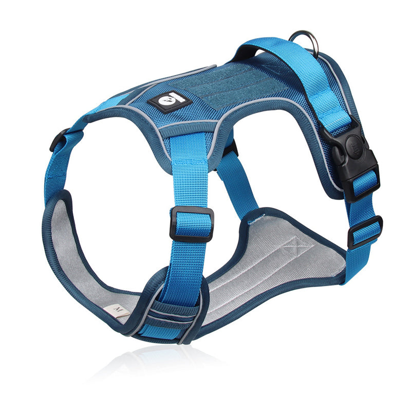 SafeWalk — Veilig Hondentuigje | 50% KORTING