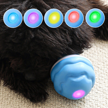 WhirlPaw – Interactieve Speelbal | 2+1 GRATIS
