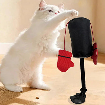 CatFury – Ontketen Wilde Speelsheid