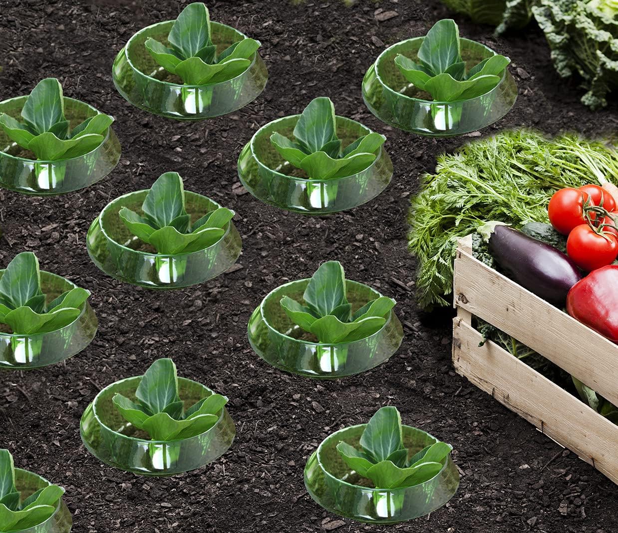 GrowGuard™ – Herbruikbare Slakkenring | Natuurlijke Bescherming voor Jouw Planten | 5+5 GRATIS