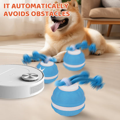 HuntSphere – Interactieve Jachtbal | 50% KORTING