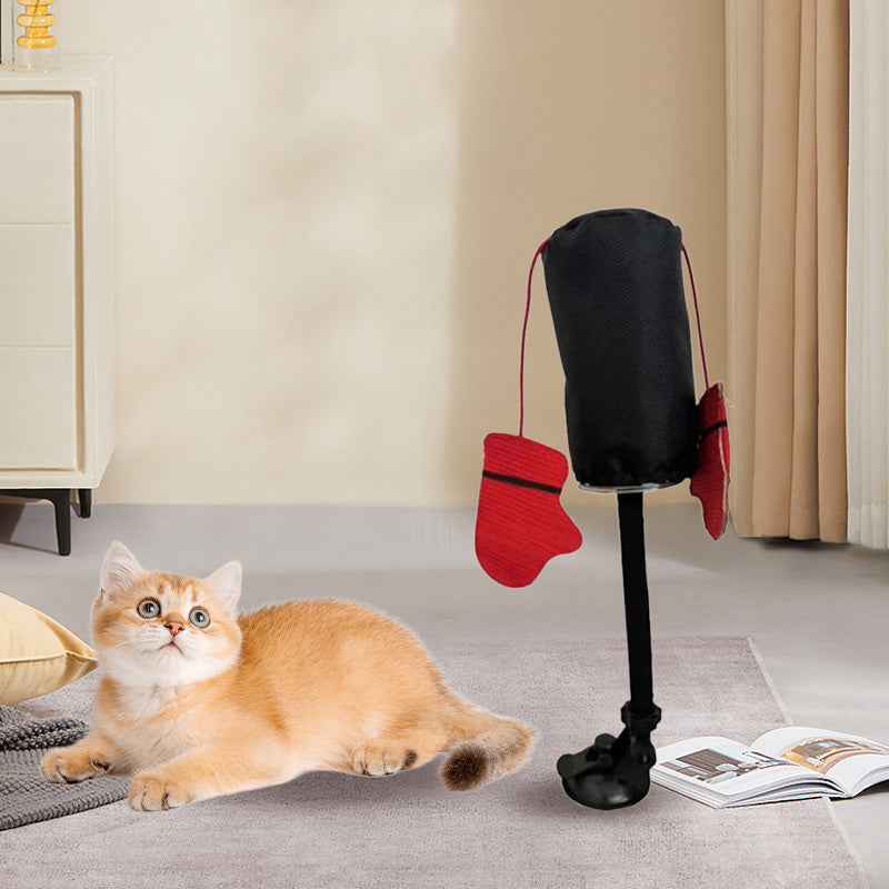 CatFury – Ontketen Wilde Speelsheid