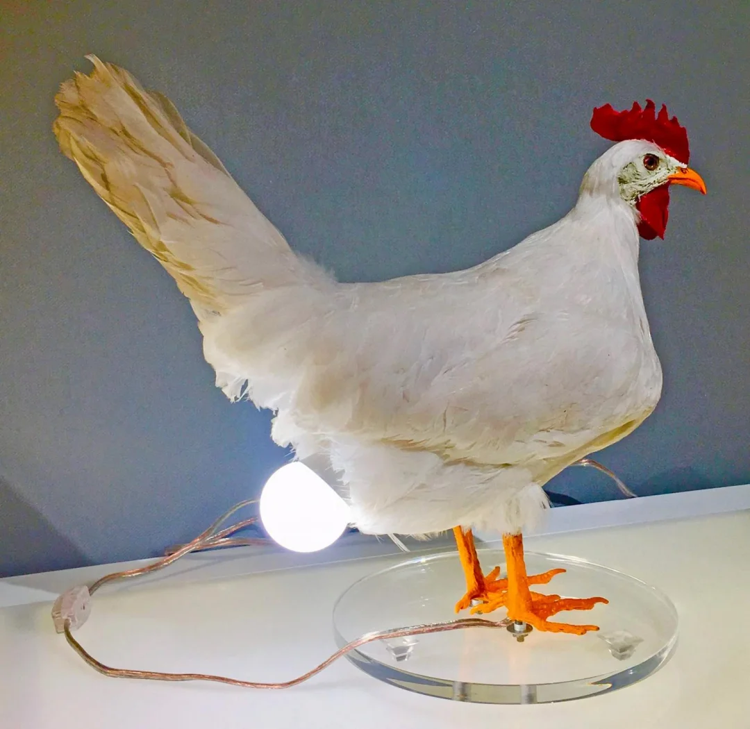 The CluckLight — Ontsteek Warmte, Inspireer Vreugde
