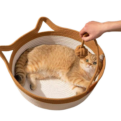 PurrNest – De Ultieme Gezellige Speelmaatje