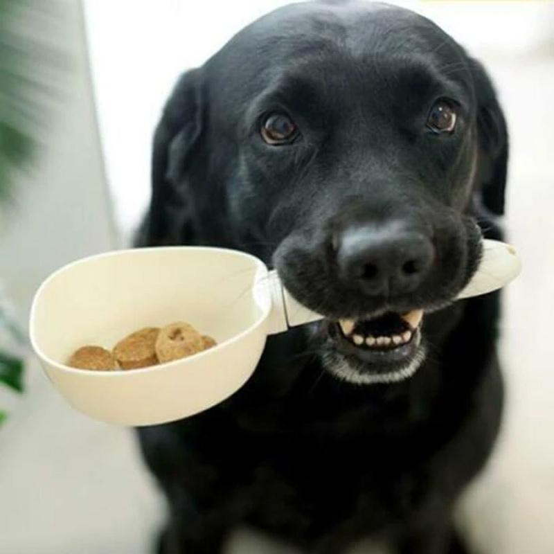 Digitale maatlepel voor huisdierenvoeding