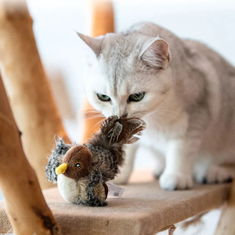 CatFun - De veilige speelkameraad voor je kat! 50% KORTING