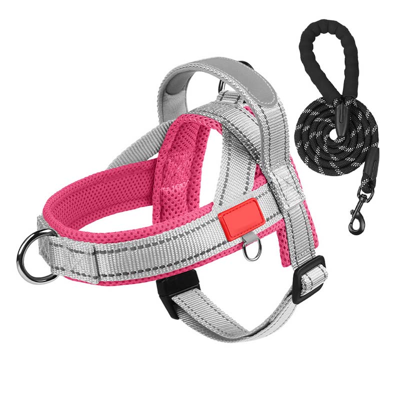 Total Comfort Harnas — Stressvrije, Veilige Wandelingen