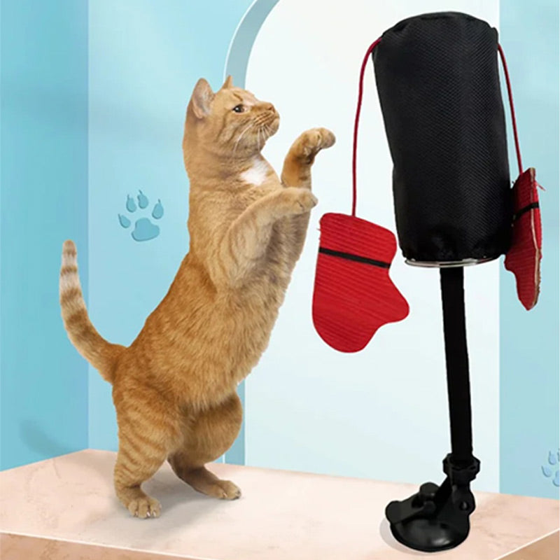 CatFury – Ontketen Wilde Speelsheid