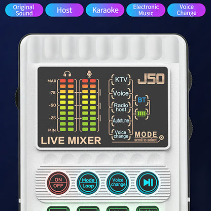 VoiceMaster Pro – Heldere, Zelfverzekerde Stemuitvoer