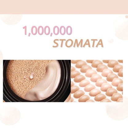 Waterproof Flawless Air Cushion Foundation