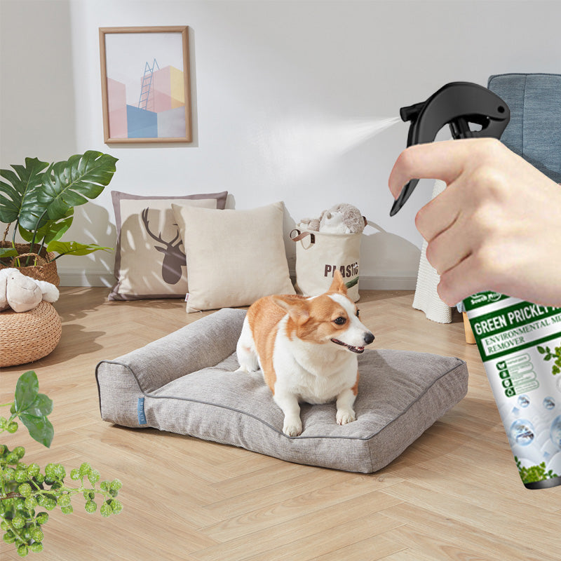 AllerGuard Mist — Snelle, Veilige Jeukverlichting | Koop 1 Krijg 1 Gratis