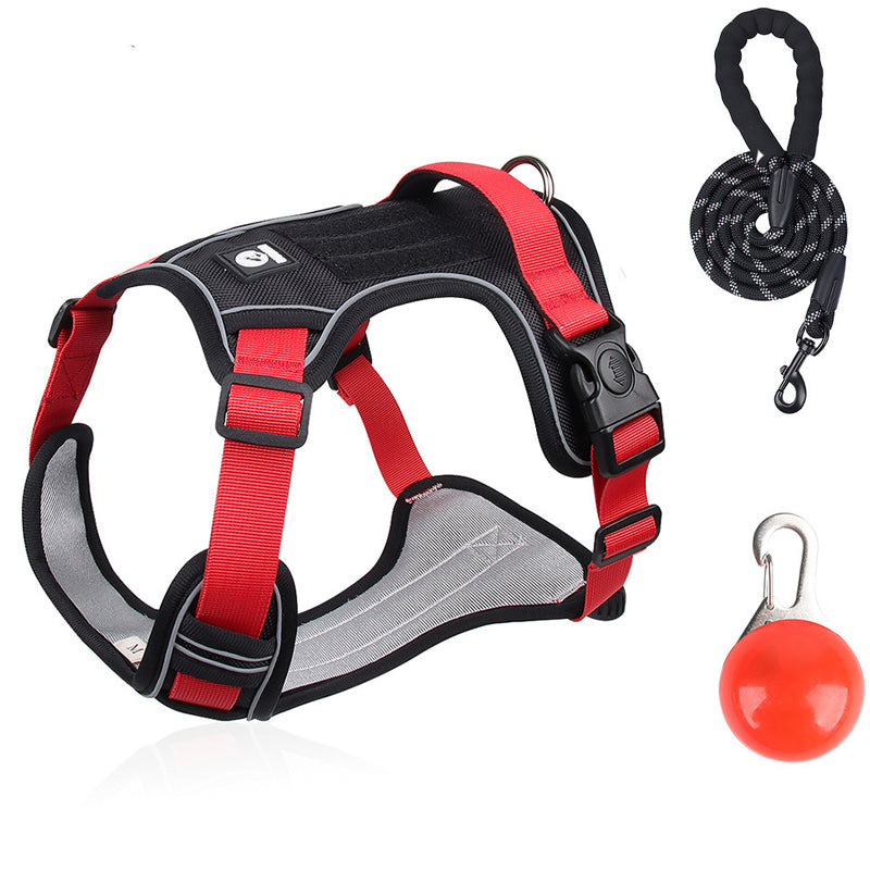 SafeWalk — Veilig Hondentuigje | 50% KORTING