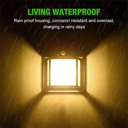 GlowSure — Stralend Zonder Pijn Buiten