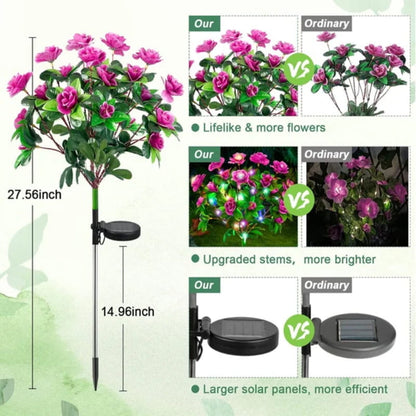 BloomLume – Verander nachten direct