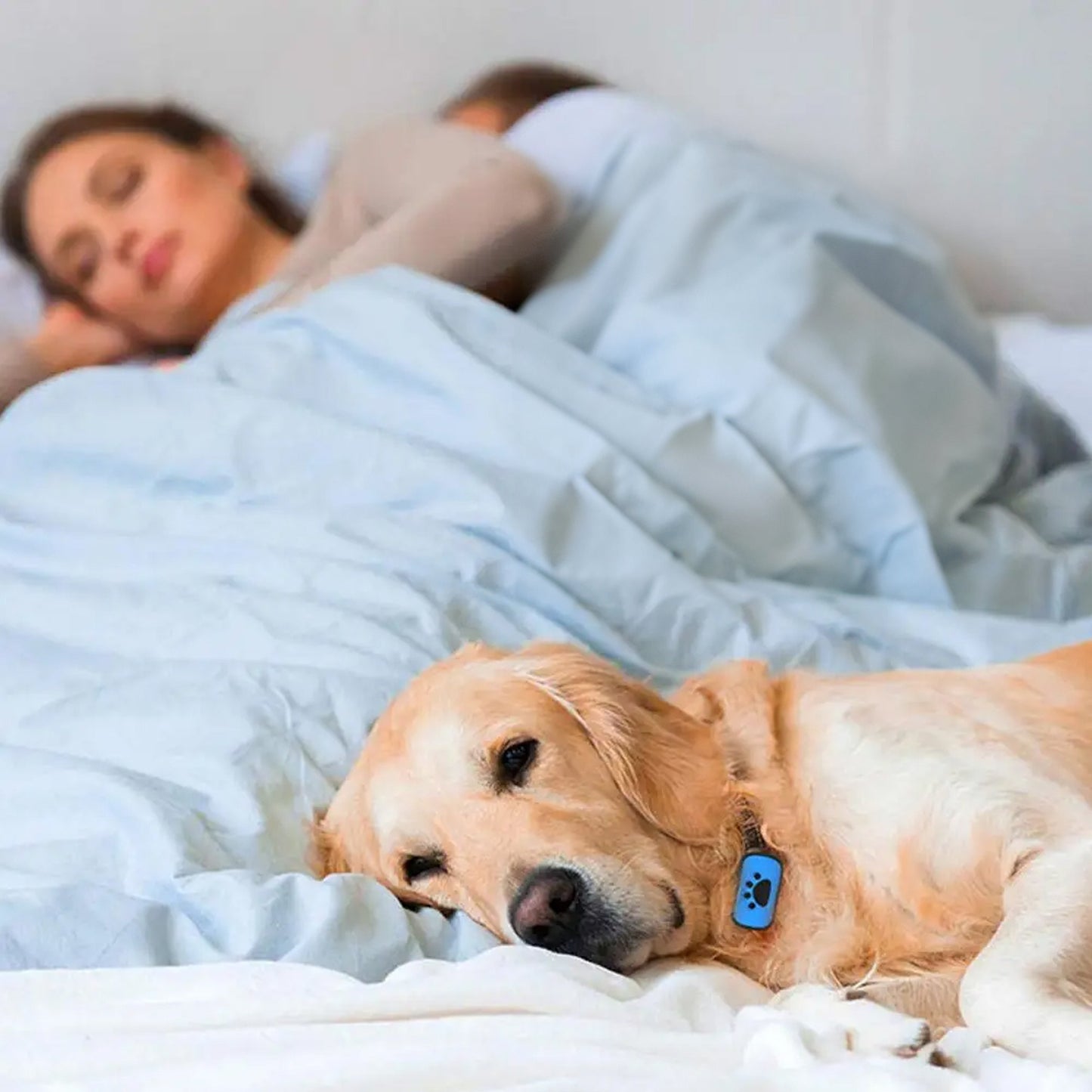 Toby™ Anti-blafband – Minder geblaf, meer rust | 50% korting