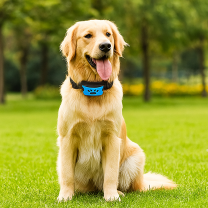 Toby™ Anti-blafband – Minder geblaf, meer rust | 50% korting