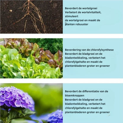GrowBloom™ – Natuurlijke Tabletten voor Gezonde Plantengroei | 1+1 GRATIS