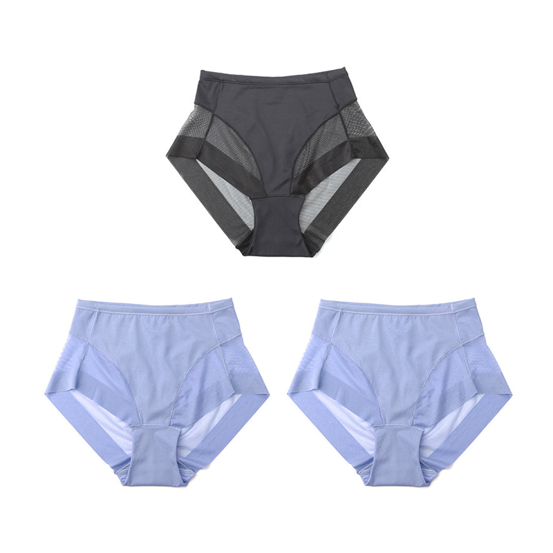 SilkShape – Hoge taille ijszijde corrigerend ondergoed | 1+2 GRATIS